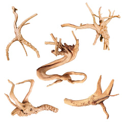 Majoywoo bois araignee branche 4-8 pouces, décor naturel pour aquarium et terrarium.