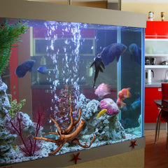 Bois araignee robuste majoywoo, durable sous l'eau.