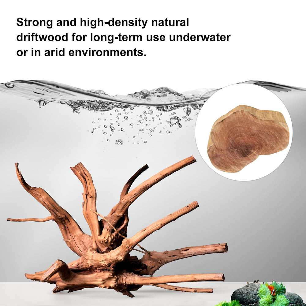 Majoywoo bois arboreal décoration aquarium, ajoute cavités et cachettes naturelles