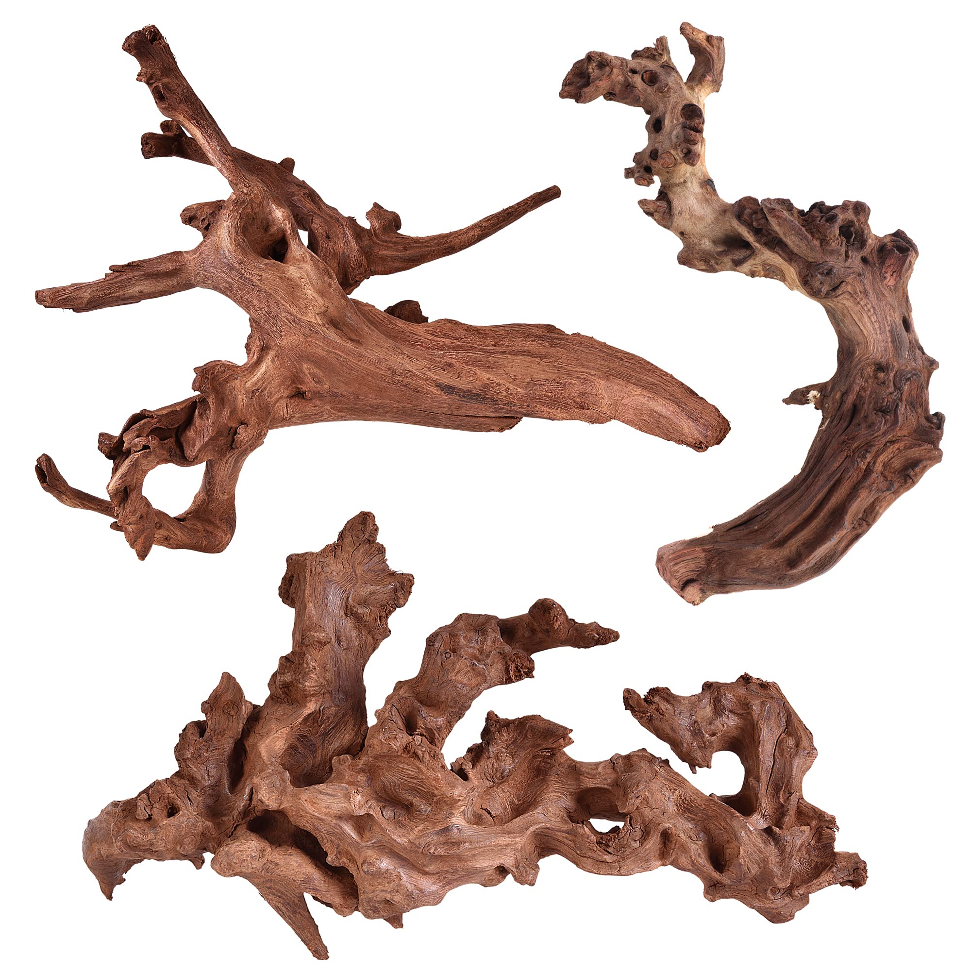 Majoywoo bois flotté corail branche 6-10 pouces, décor naturel pour aquarium