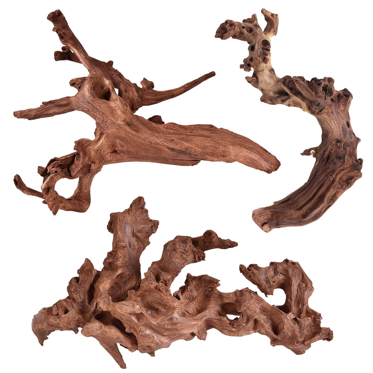 Majoywoo bois flotté corail branche 6-10 pouces, décor naturel pour aquarium