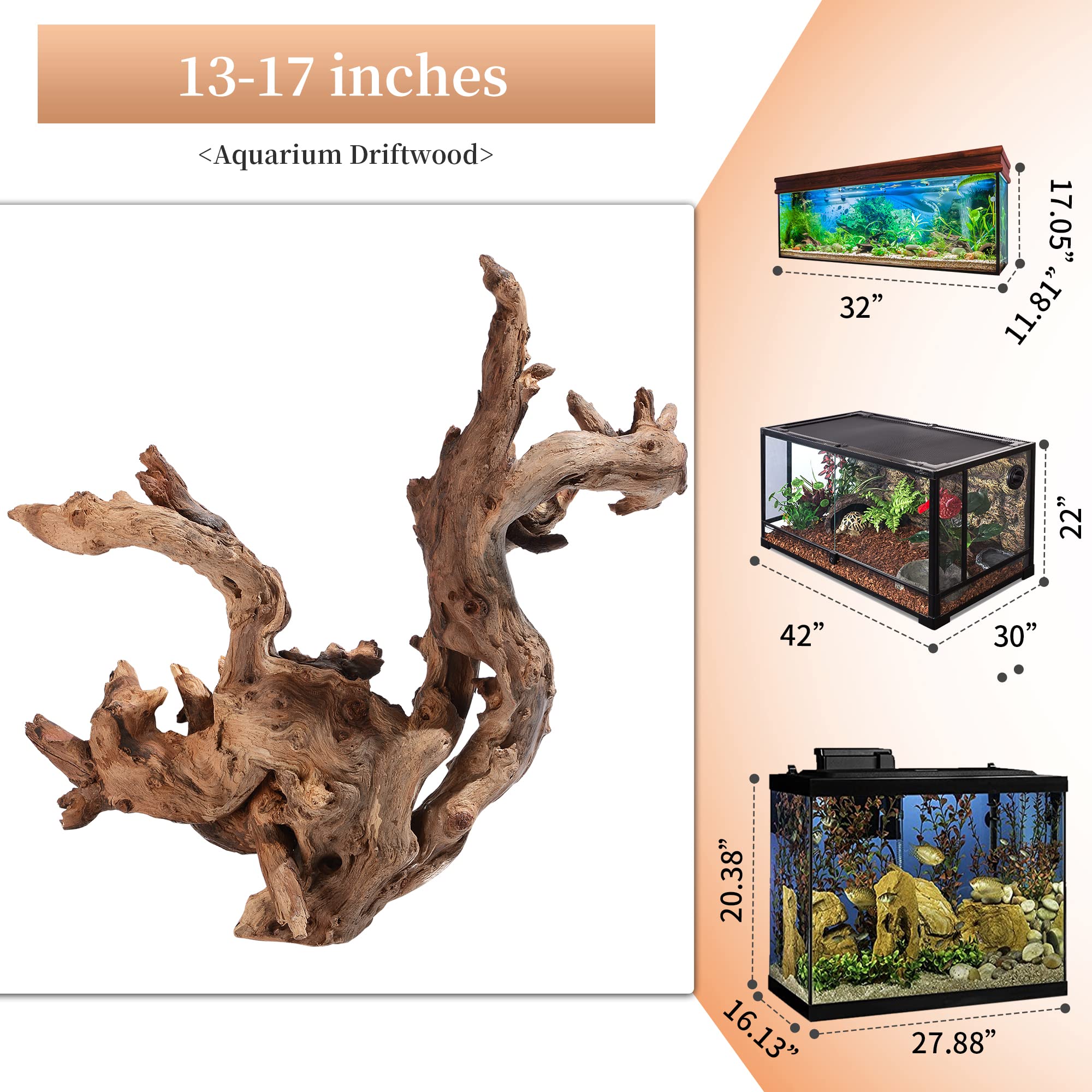 majoywoo bois flotté naturel deco terrarium, ajout de charme rustique et naturel.