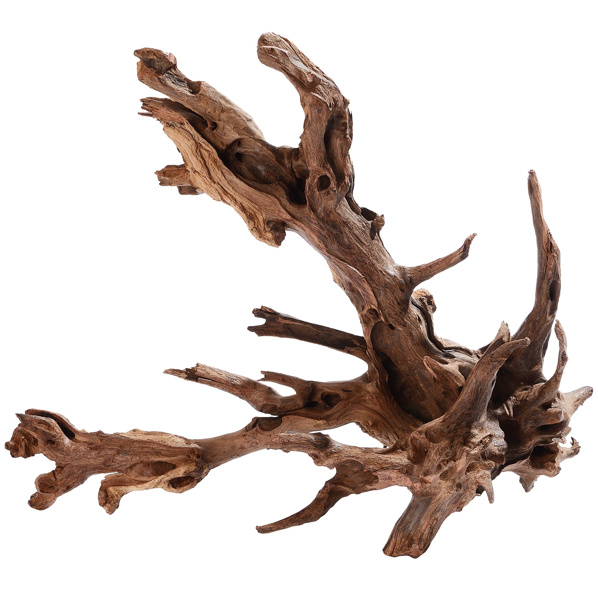majoywoo bois flotté naturel grand aquarium 13-17 pouces, décor naturel et robuste pour aquarium.