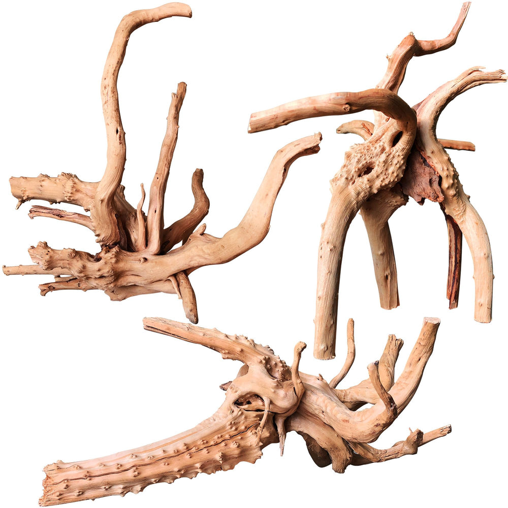 Majoywoo branche bois d'araignee 7-11 pouces, décor naturel pour aquarium.