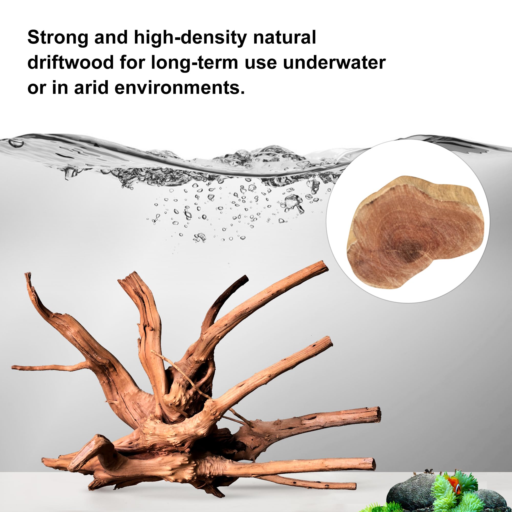 Branche naturelle majoywoo, idéale pour creer arbres mousseux dans l'aquarium.