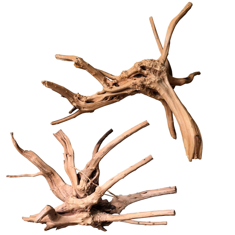 majoywoo branche spider bois 11-14 pouces, décor naturel pour aquarium et cachettes