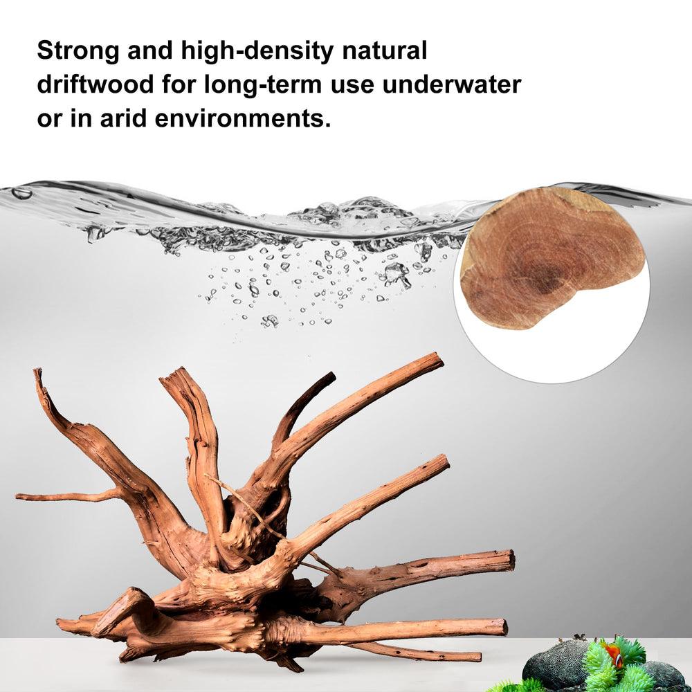 majoywoo branche décorative pour terrarium, parfaites zones de grimpe pour reptiles