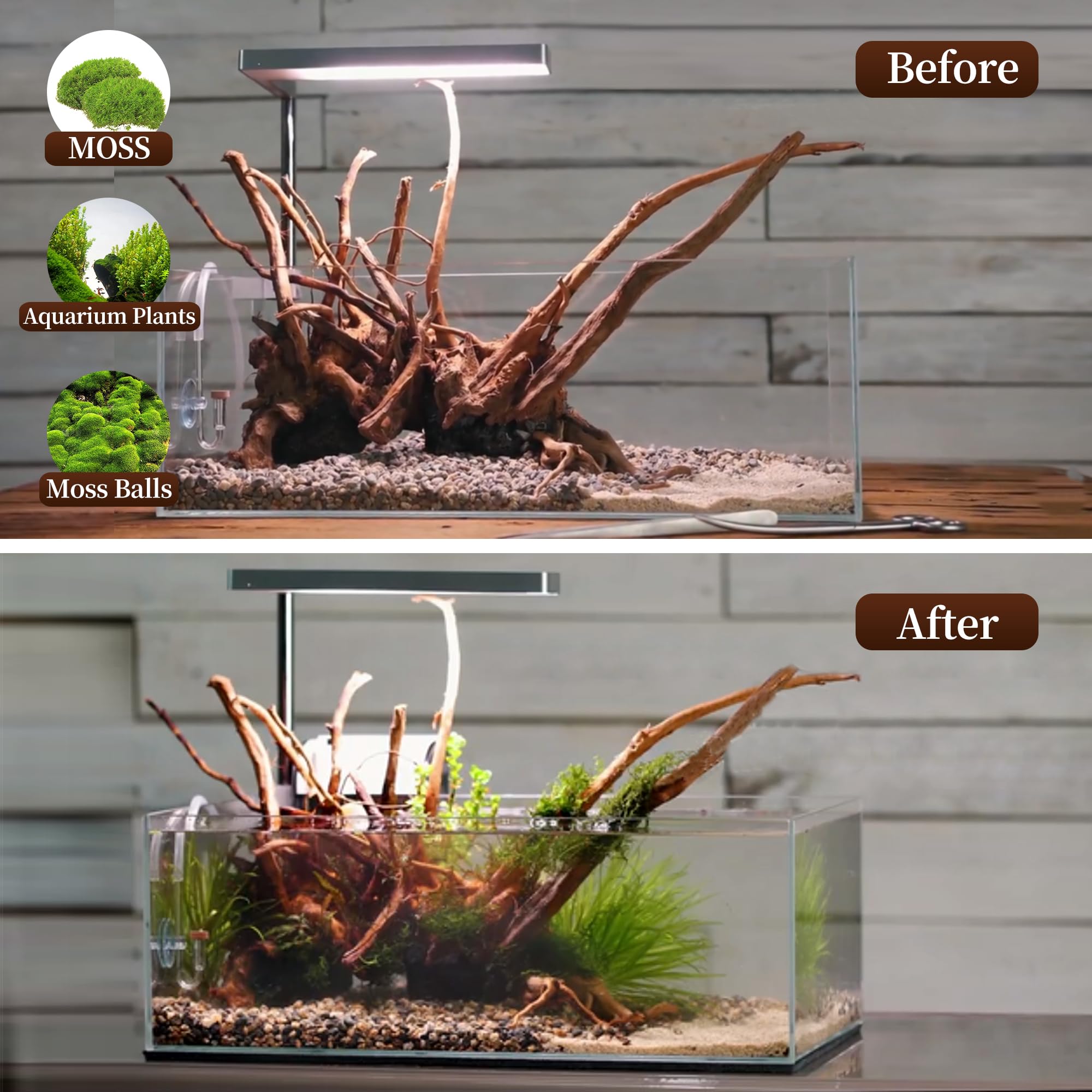 majoywoo décor d'aquarium naturel, facile à repositionner selon le style