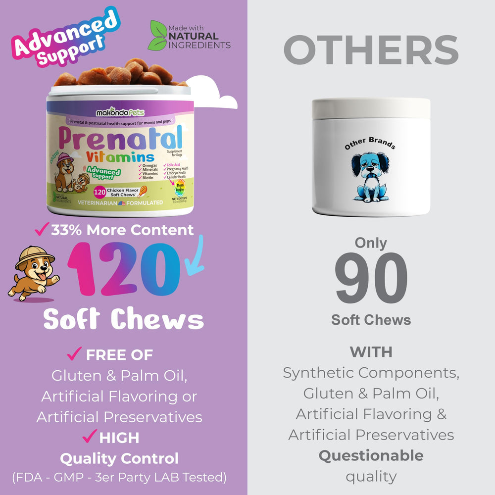 Makondo Pets Soutien Allaitement – formule nourrissante pour mère et chiots.