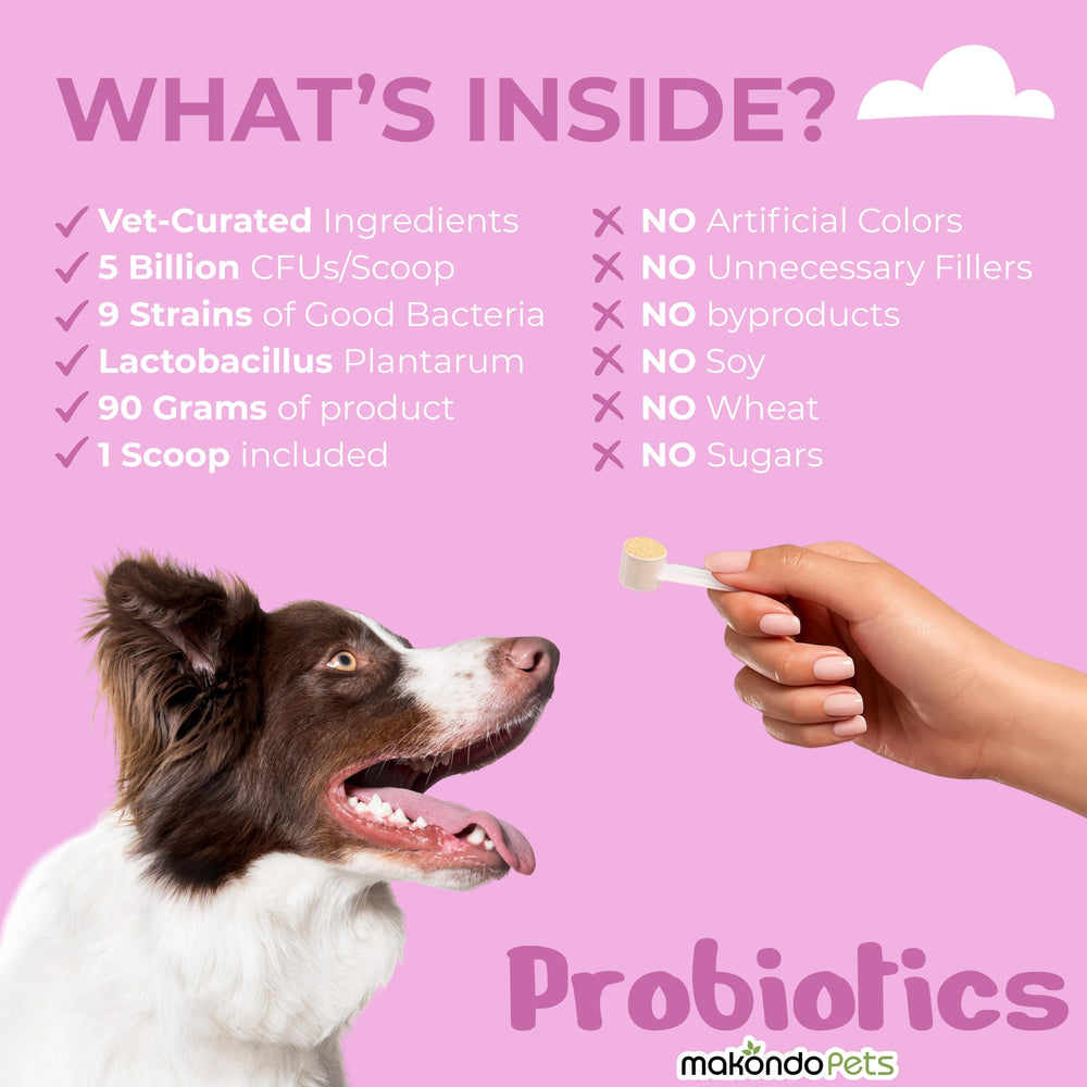 Makondo Pets Probiotiques Chiens - 5 milliards CFU par portion, probiotique puissant.