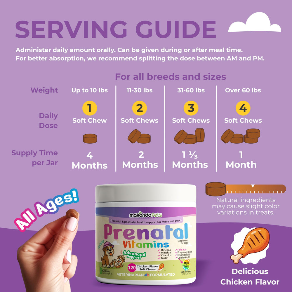 Makondo Pets Vitamines B-Complex – soutien énergie et métabolisme.