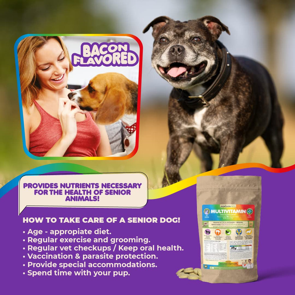 B Complex et minéraux essentiels dans Makondo Pets