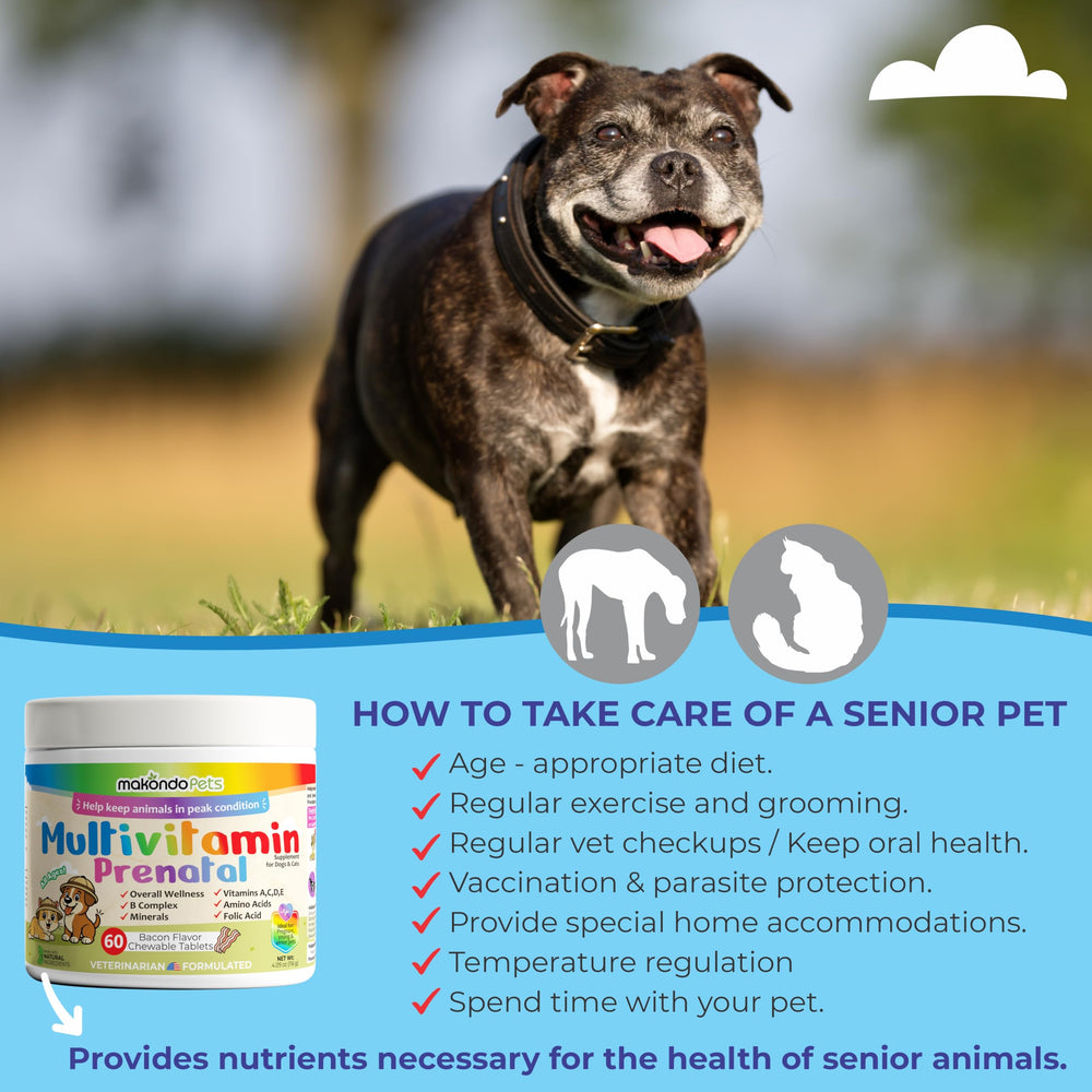 Tableau nutrition Makondo Pets prénatal chien et chat, nutriments essentiels