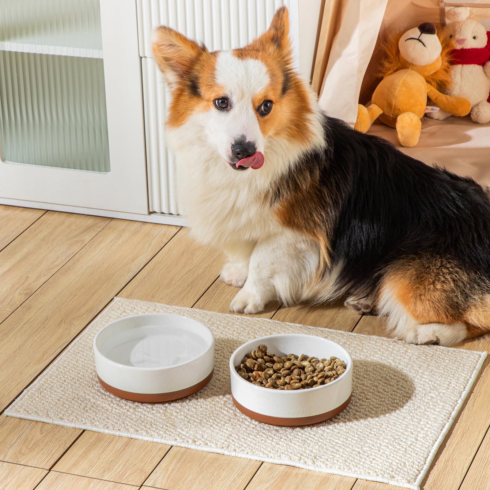 MALACASA bol-chien-taille-moyenne pour corgi et beagle.