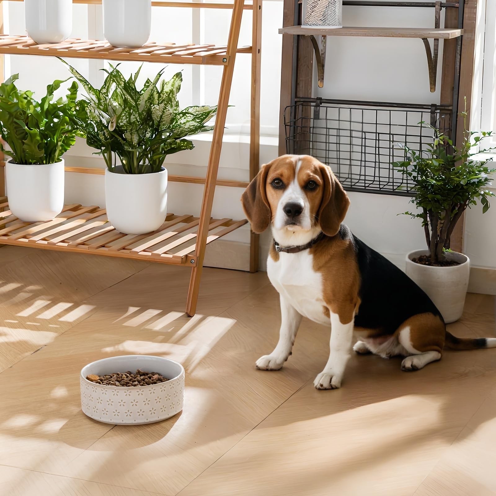Bol MALACASA design lourd et stable, minimise le renversement.