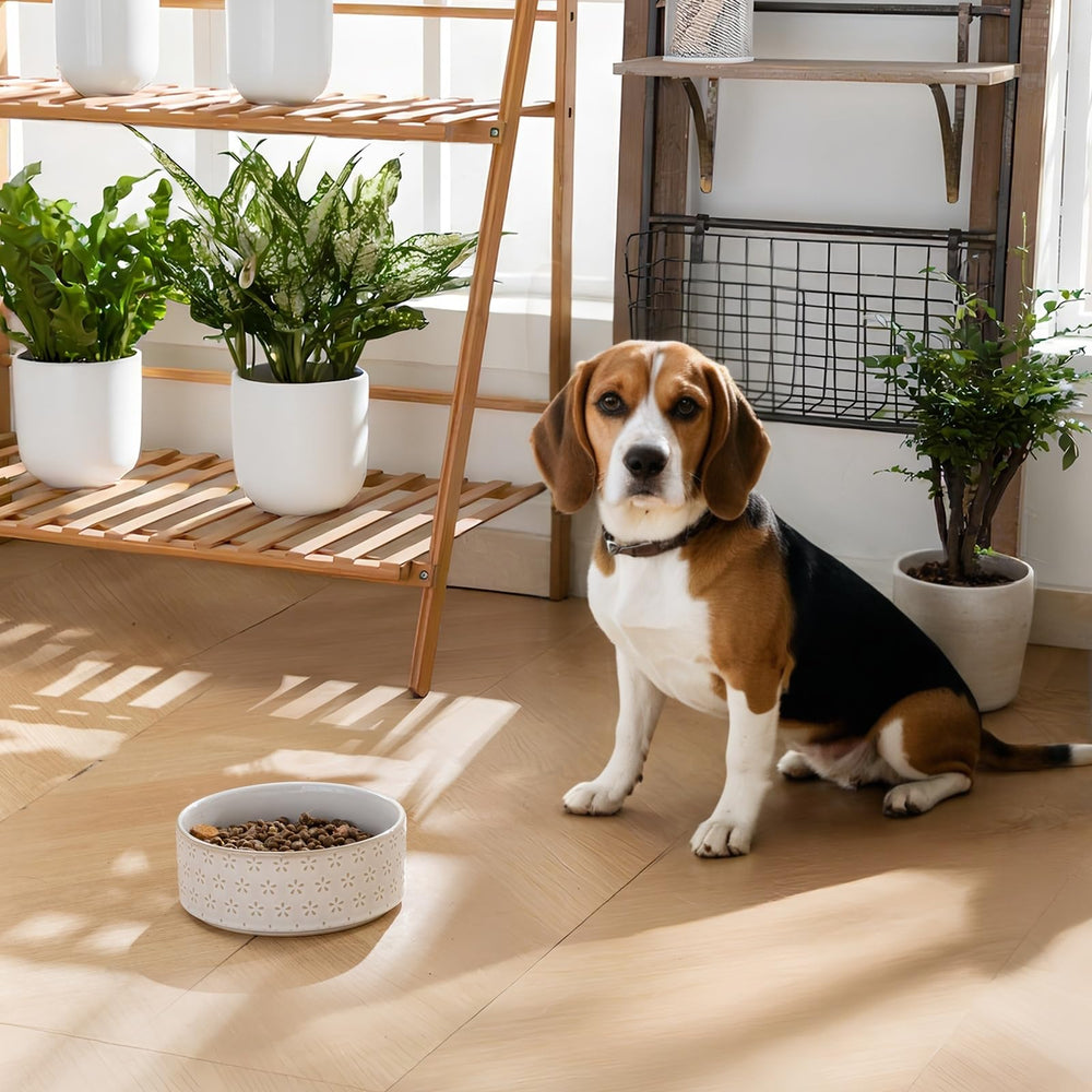 Bol MALACASA design lourd et stable, minimise le renversement.