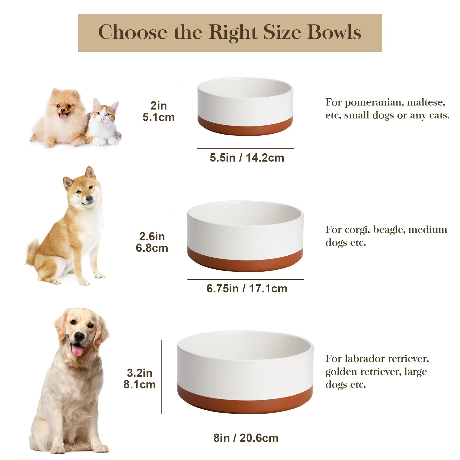 Bol MALACASA 1,5 tasses, idéal pour repas quotidiens des chiots.