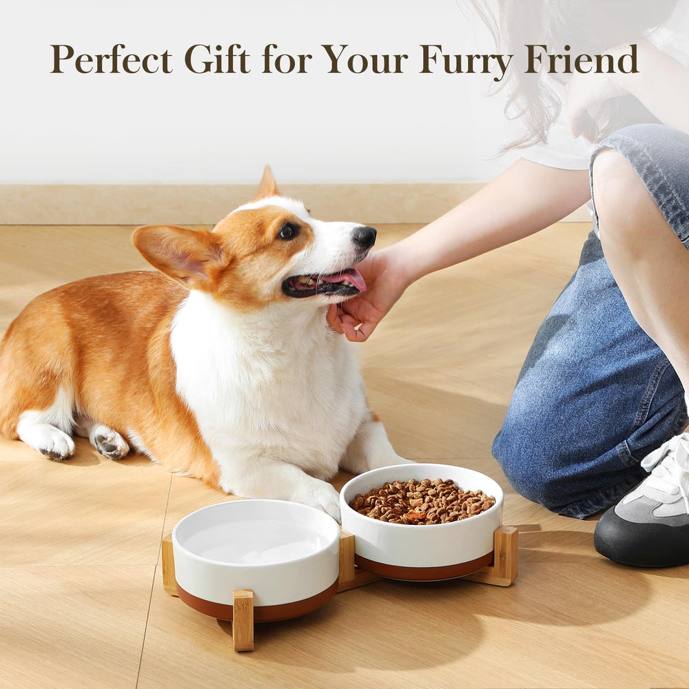 Usage polyvalent pour chiens de taille moyenne et chats MALACASA.