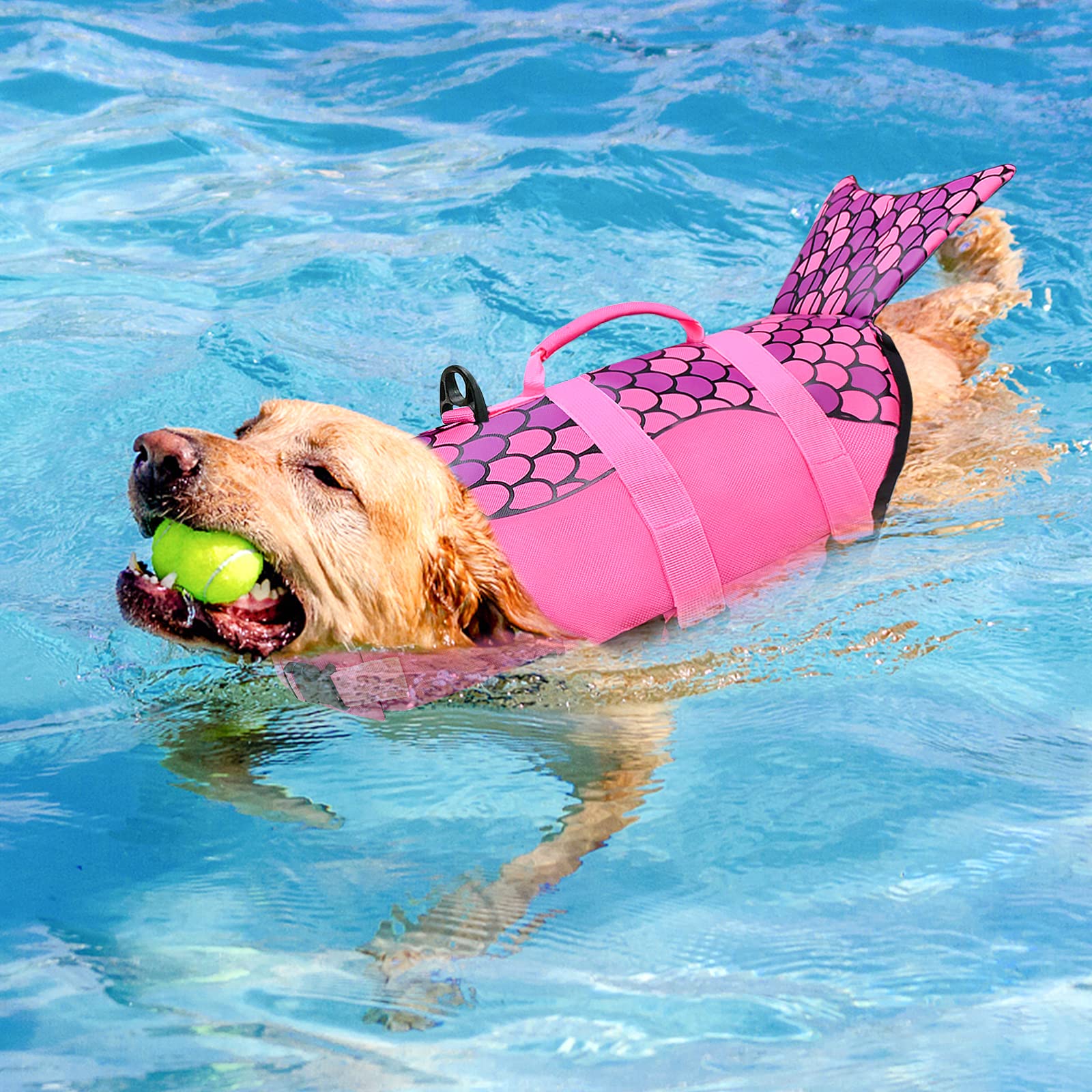 Malier gilet chien anneau D – attache facile de la laisse.