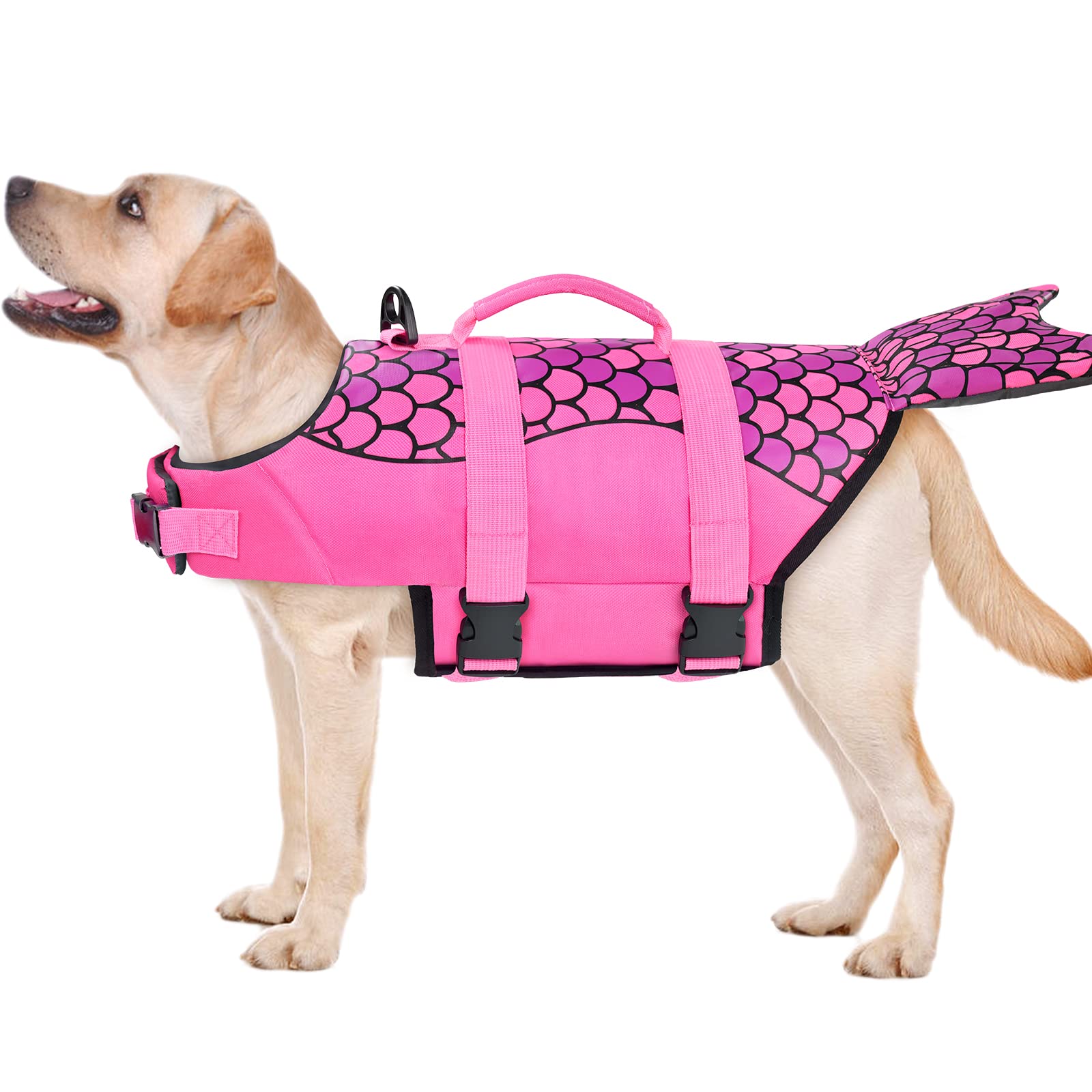Malier gilet chien Requin rose – vue arrière montrant le design et la sécurité.