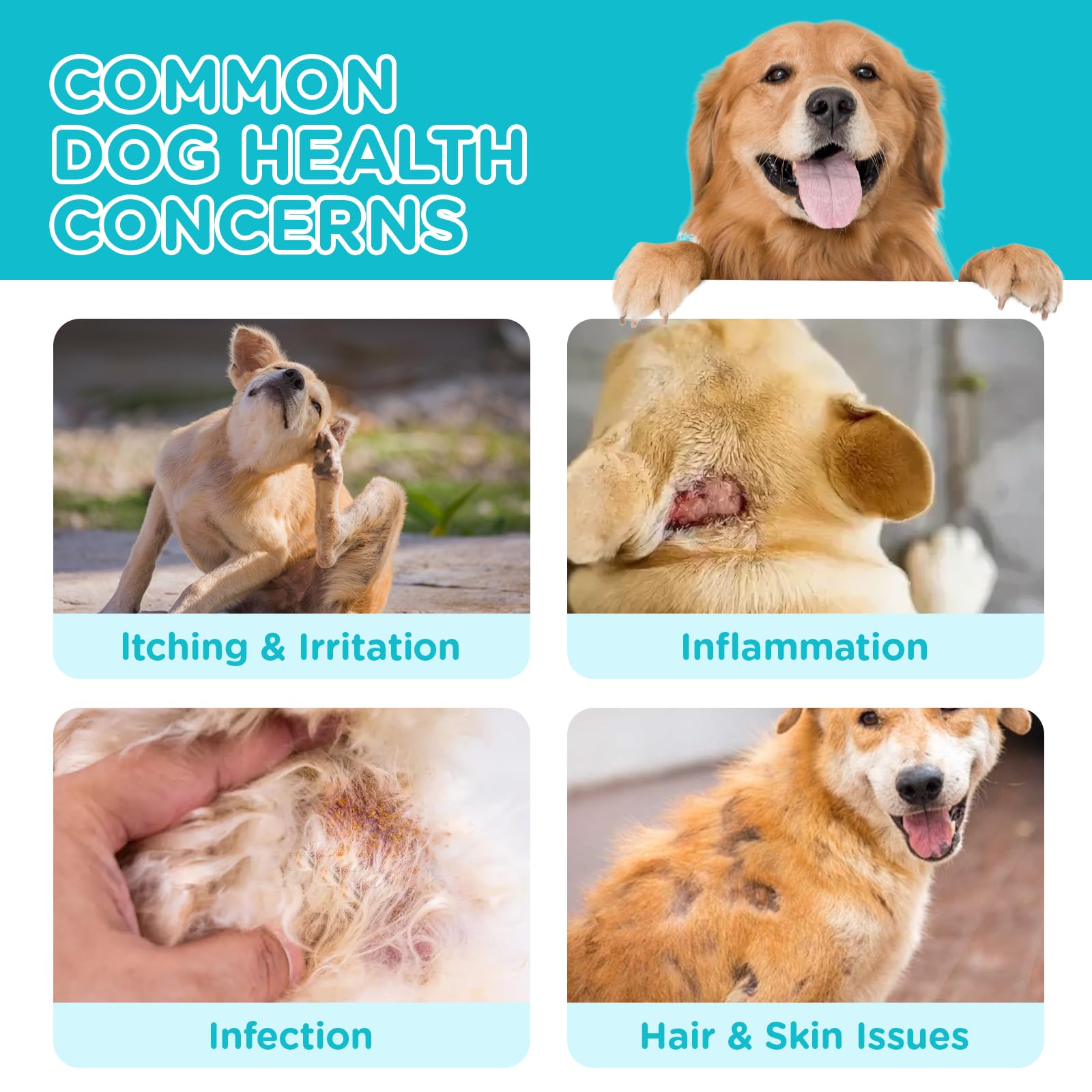 Gouttes MALOVP pour levures et peau, pratique sur le pelage chiot et chien adulte