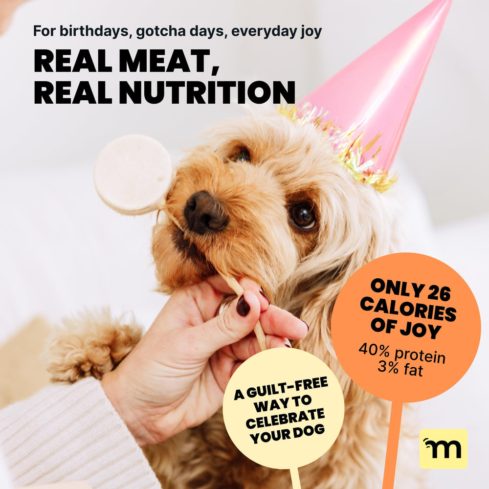 Entraînement chien sans mess par MalsiPree, friandise pratique et propre.