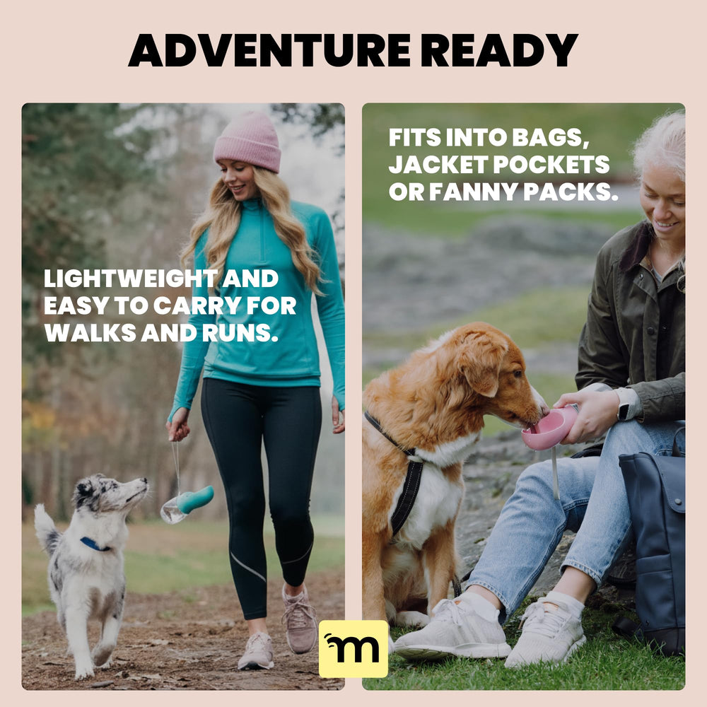 Idée cadeau aventure MalsiPree pour chiot et sorties extérieures.