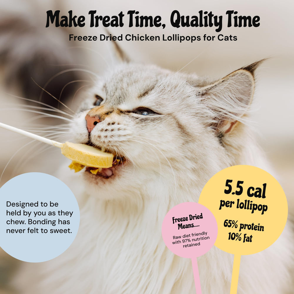 Jouet chat Sucette Interactive de MalsiPree pour sessions ludiques.