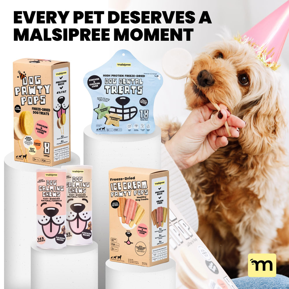 Texture MalsiPree croquante chien – friandise ludique pour entraînement.