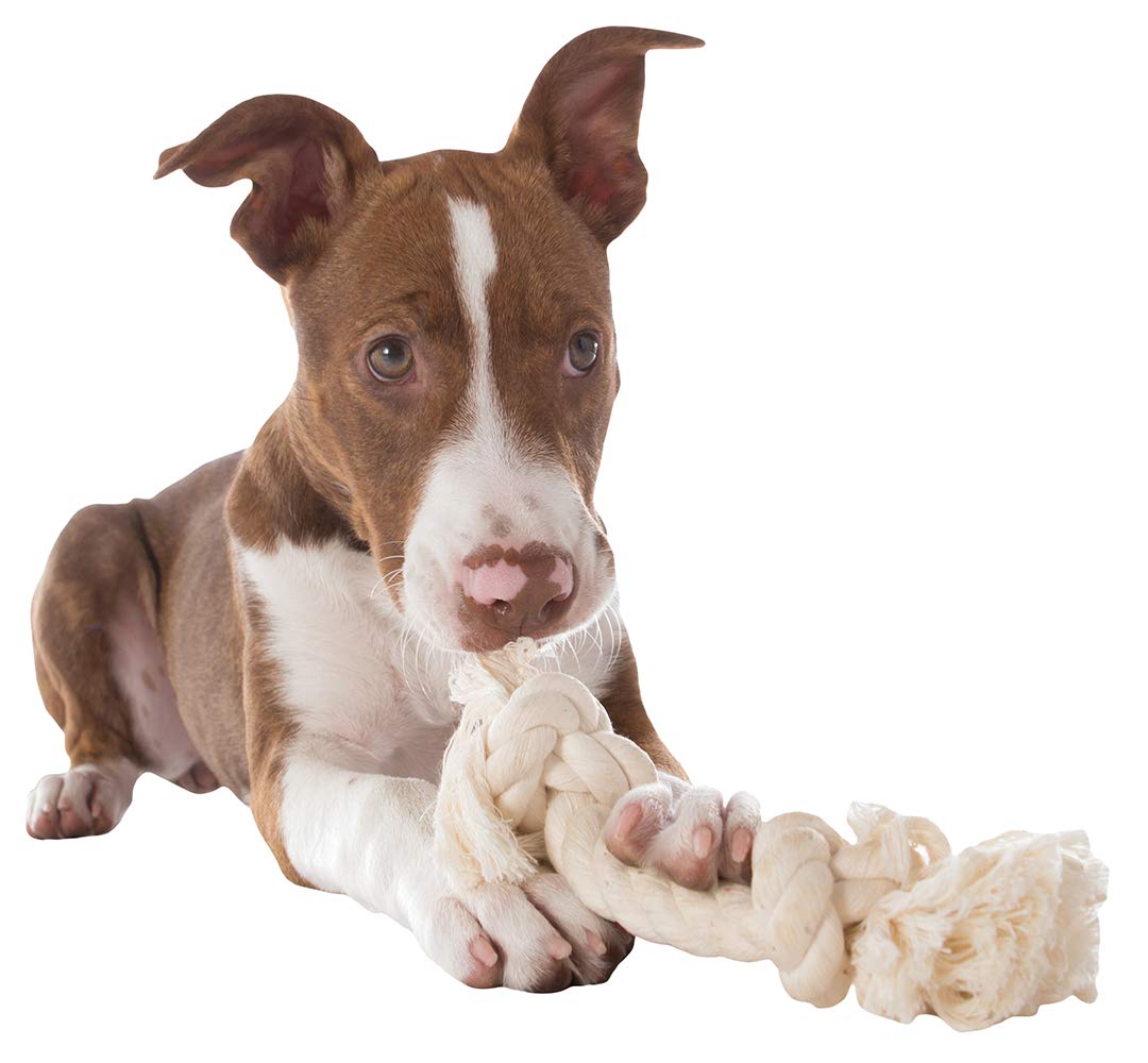 Mammoth Flossy Chews coton naturel non toxique pour mordiller en sécurité.