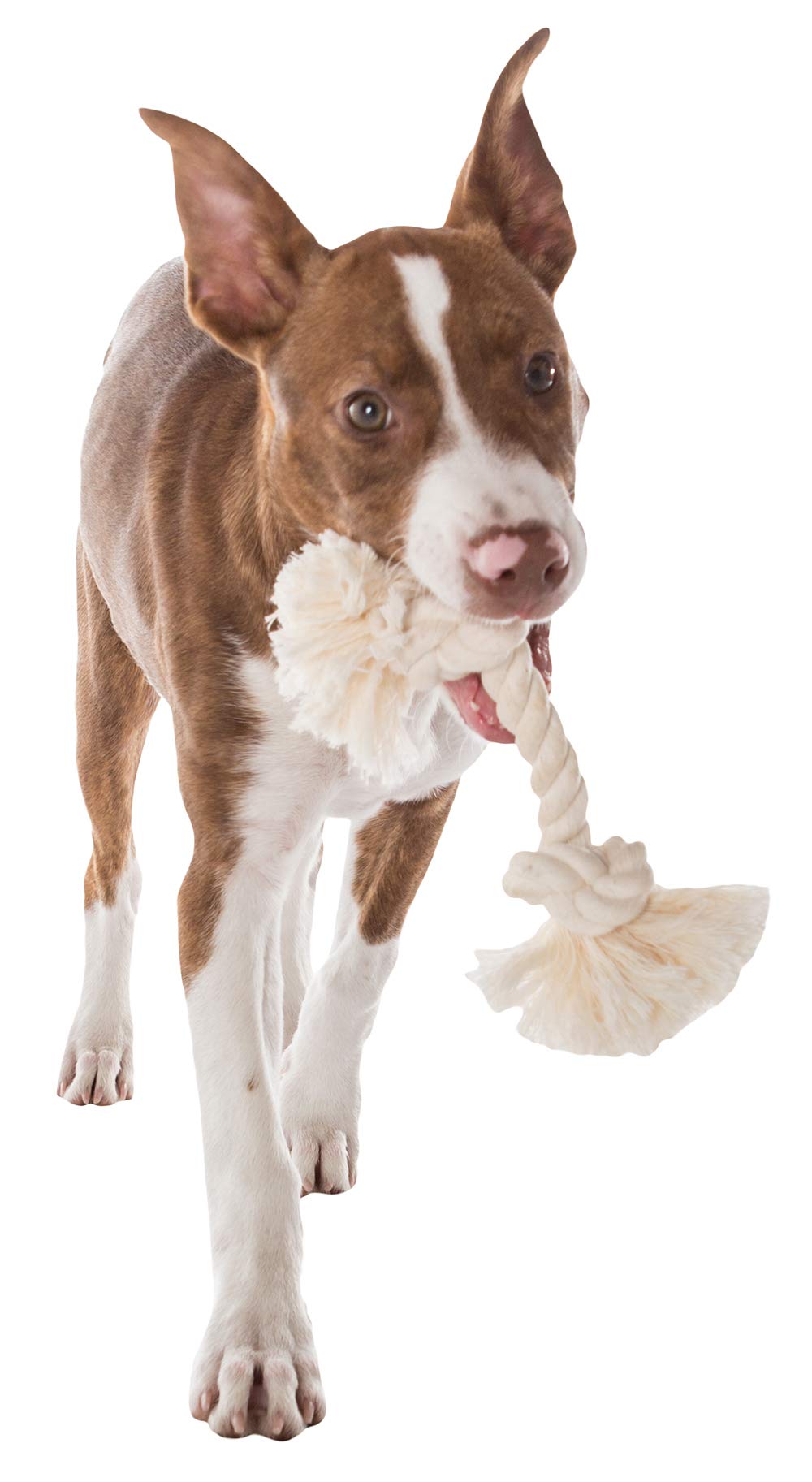 Flossy Chews Mammoth – coton naturel à 100 %, jouet sûr et durable.