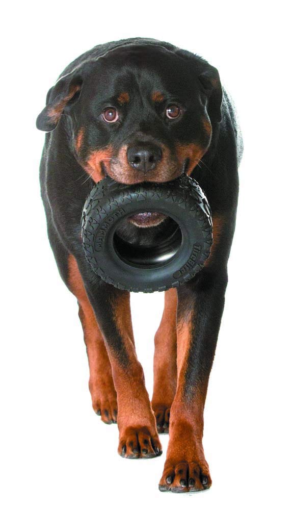 Mammoth TireBiterII: xlarge-7-pouces, adapté grands chiens