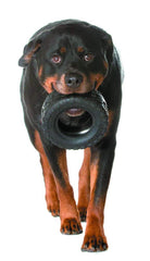 Mammoth TireBiterII: xlarge-7-pouces, adapté grands chiens