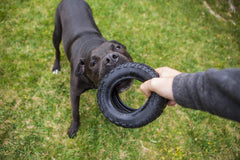 Mammoth TireBiterII jeu de traction à la corde, parfait pour les chiens actifs