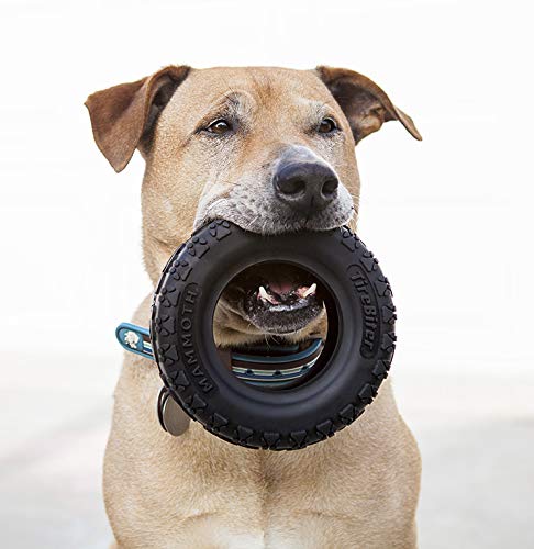 Mammoth TireBiterII jeu interactif pour longues sessions de jeu