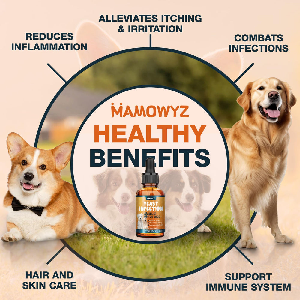 Chien détendu après application des gouttes Mamowyz, parfum léger et naturel.