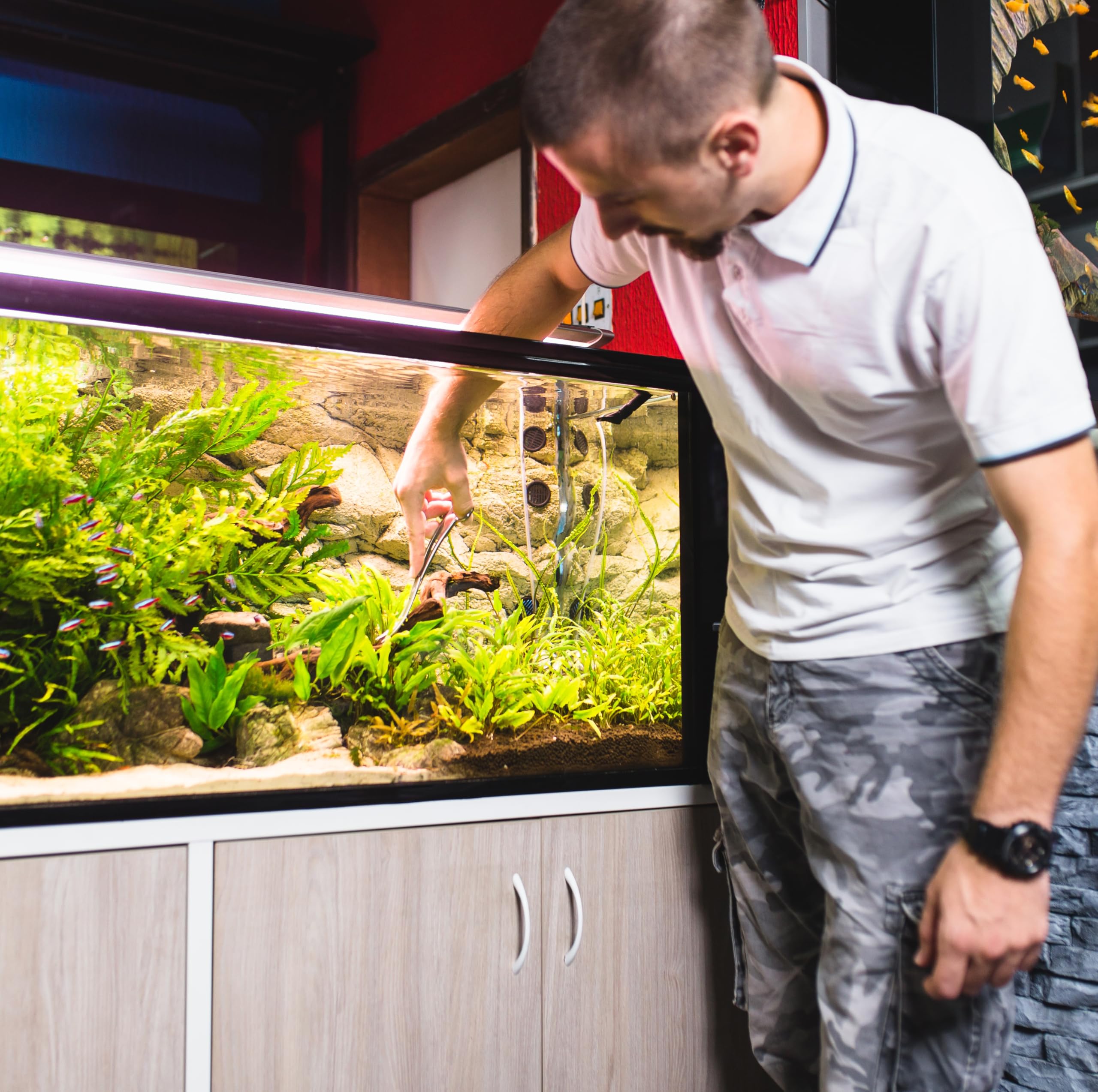 Mandala Crafts ciseaux aquascaping : faciles à nettoyer après trim des plantes.