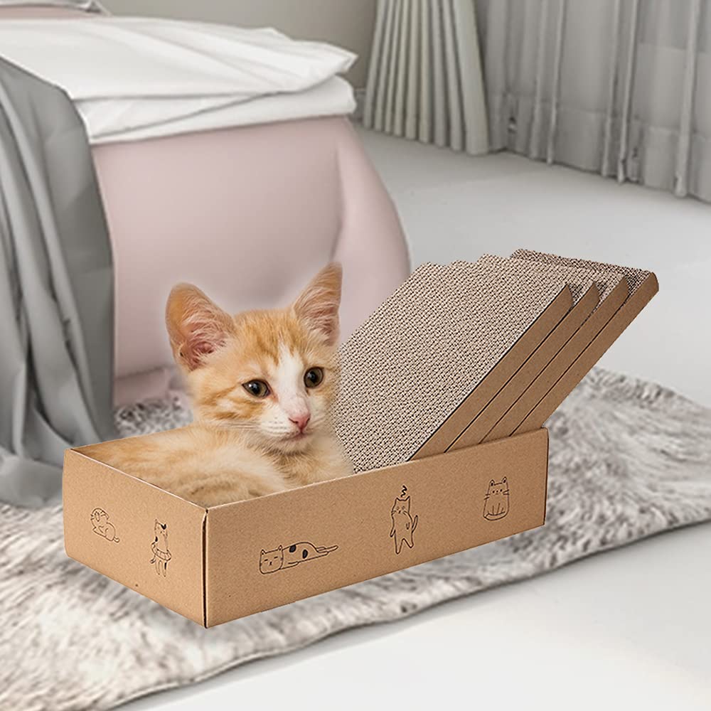 Mankaide herbe a chat incluse pour attirer le chat