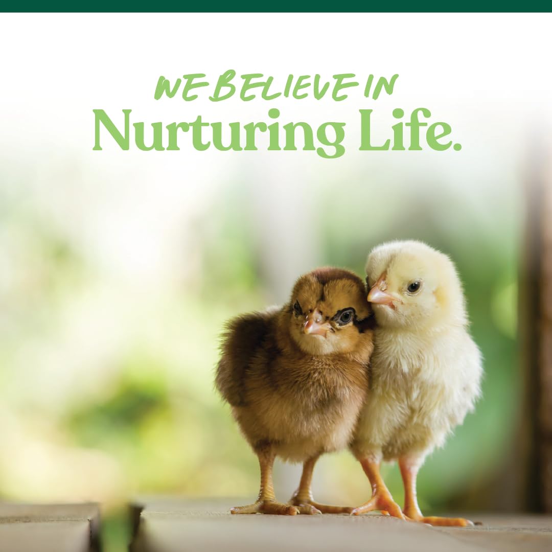 Idéal pour l’alimentation quotidienne des poussins en petit élevage.