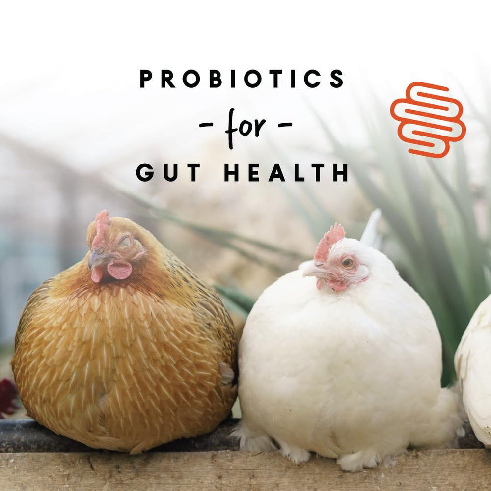 Calcium et vitamines Manna Pro pour os solides et coquilles robustes