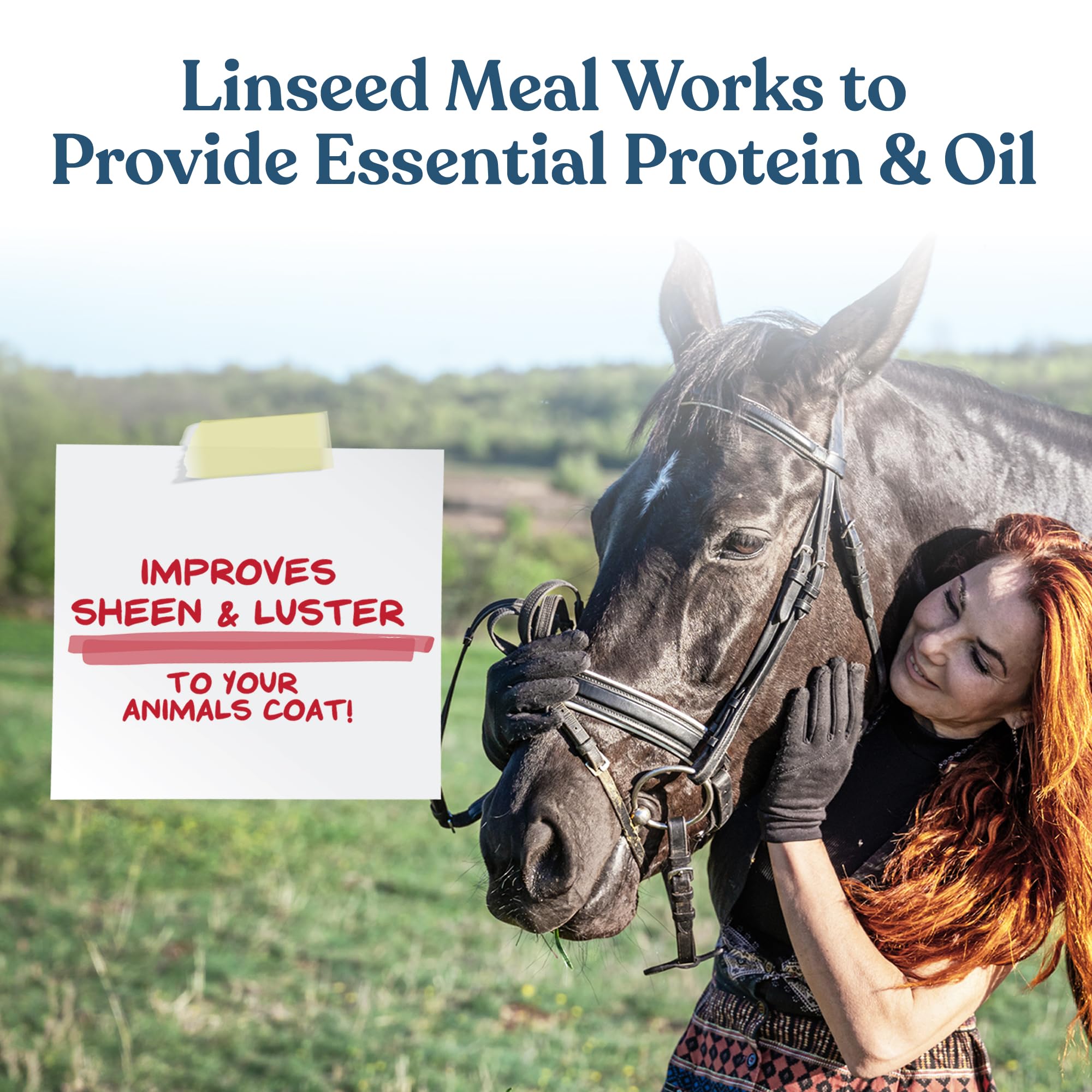 Manna Pro Calf-Manna alimentation multi-espèces donne énergie et appétit constant.