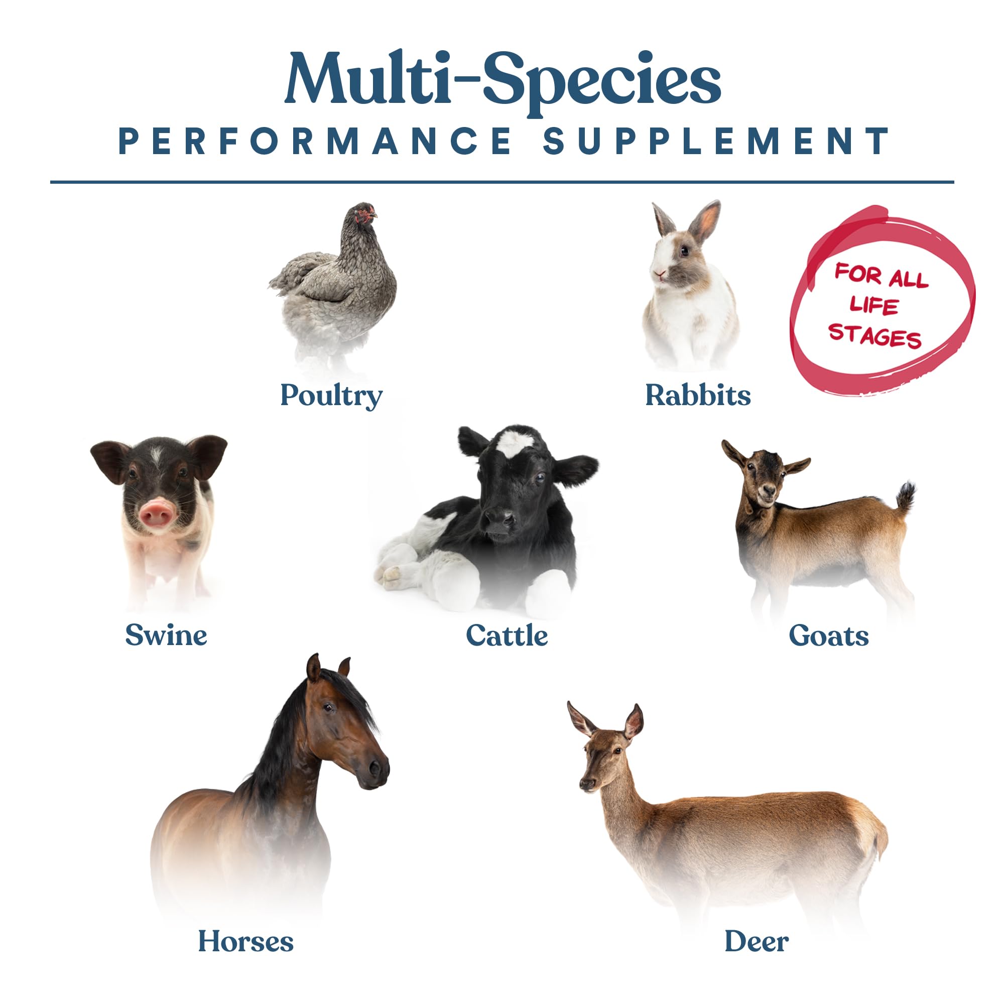 Manna Pro Calf-Manna protéines de haute qualité favorisent croissance et développement.
