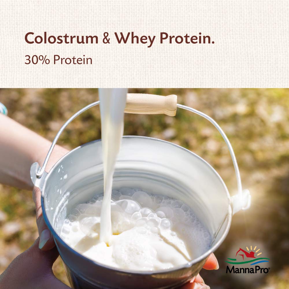Colostrum Manna Pro: soutien digestif potentiel chez les chevreaux.