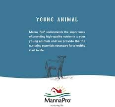 Manna Pro Cut Heal : sabots brillants après l’application