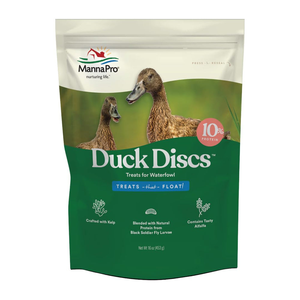 Manna Pro disques canards flottants en action pendant le goûter.