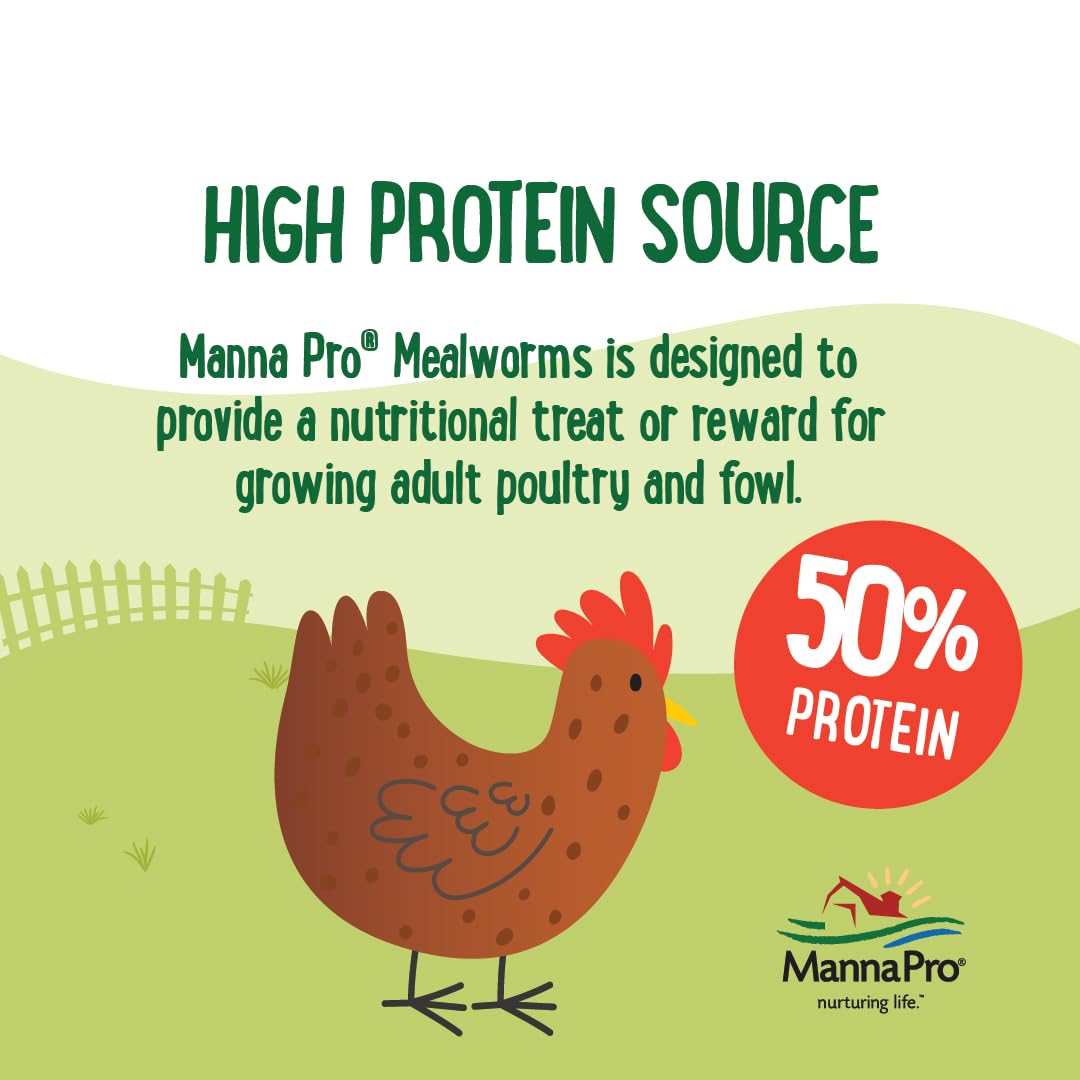 Oiseaux dégustant Manna Pro Mealworms, source protéique naturelle favorisant l'énergie.
