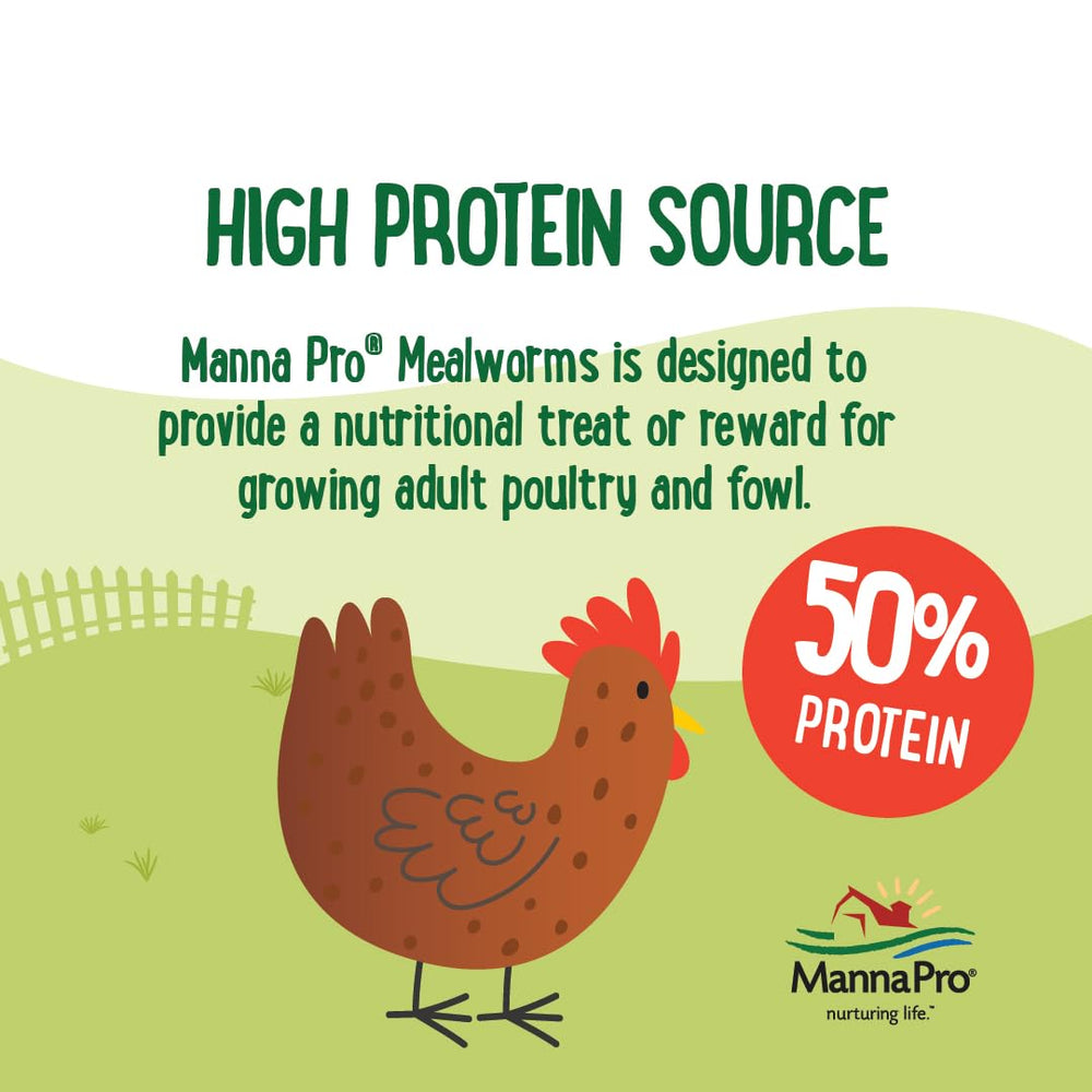 Oiseaux dégustant Manna Pro Mealworms, source protéique naturelle favorisant l'énergie.
