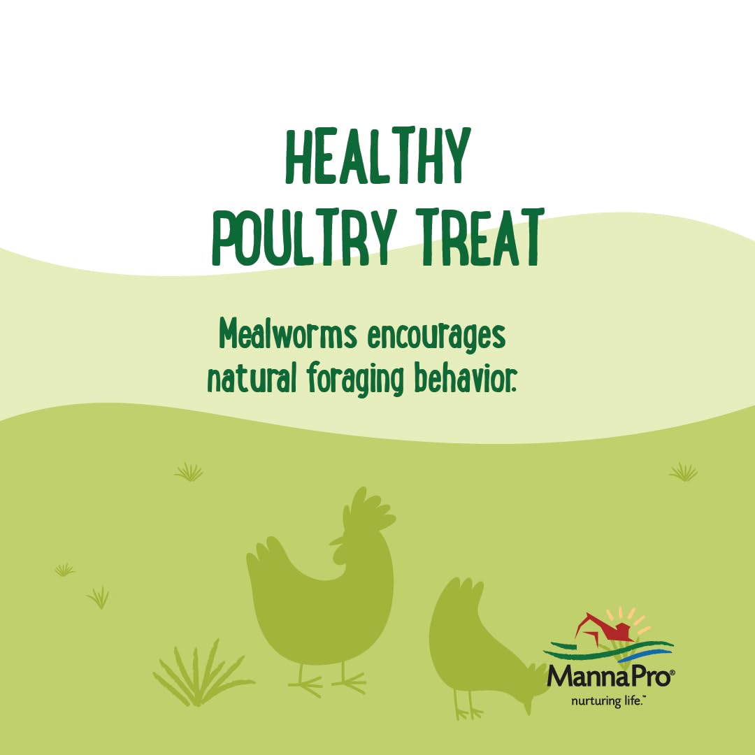 Ferme domestique avec poules et dindes profitant d'un snack nutritif Manna Pro.