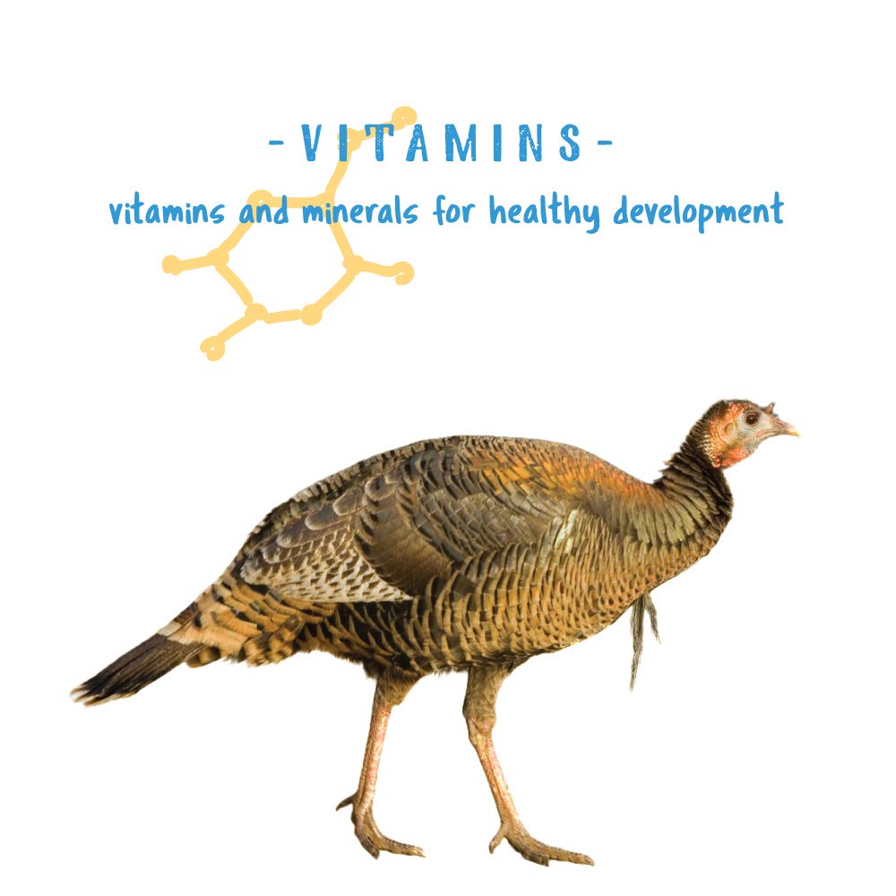 Manna Pro Gamebird Showbird Crumbles mélange de volailles pour troupeaux mixtes.