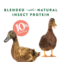 Manna Pro larves mouche soldat noire, saveur naturelle appréciée des canards.